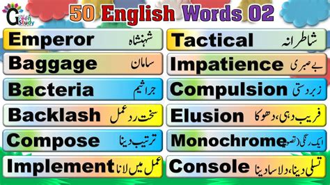 phudi meaning|Find Phudi In English Meaning in Urdu to English Dictionary,。